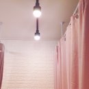 쉬즈(She's) 이미지