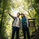 역사힐링코스 | 단양 온달관광지 숲길, 숨겨진 힐링 산책 코스 후기