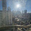 감삼동355 이미지