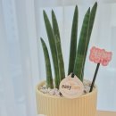 예린에스테틱 이미지