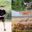 인더숲테니스