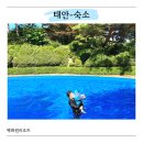 태안기업 | 태안 독채펜션 백화원리조트 | 정원·수영장·바베큐 완비 태안리조트 솔직 후기