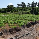 제주공감공인중개사사무소 이미지