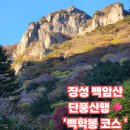 설악임시버스터미널 화장실(임시) | 단풍명소 전남 장성 백암산 &#39;백학봉~상왕봉 코스&#39; 완주 후기(2025.11.14)