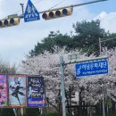 창작발레 <갓:GAT> | 창작발레 갓(GAT) 하남문화예술회관 관람 후기