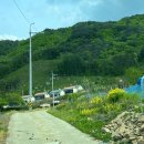 달멍스테이 이미지