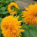 봉화랜드 이미지