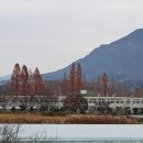 대강중학교 이미지