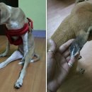 기다리다 이미지