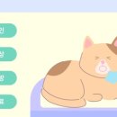 동물병원도담도담 이미지