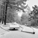 버스정류장 06-138 이미지