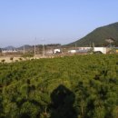 송림농장 이미지