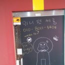 와니펫싸롱 이미지