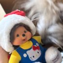 구구한의원 | 3月