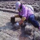 하루네 농장 이미지