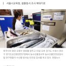 후쿠시마 오염수 우려에 서울 초중고 학교급식 전수조사 이미지