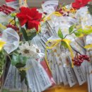 바이오스라이프 이미지