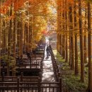 양평 가볼만한곳 베스트10 이미지