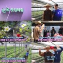 선철농장 이미지