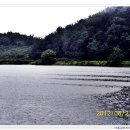 평촌세천 이미지