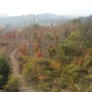 퍼스트뷰 이미지