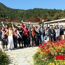 힐링여행 이미지