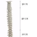 피트인 피트니스 이미지