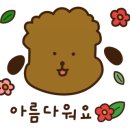 앤애견샵 네이버블로그