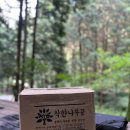 피톤치드캠핑장작 이미지