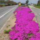 덕산보건진료소 이미지