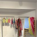 유월의 피크닉 이미지