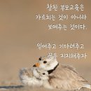 마인더맵 | [마녀살롱, 미라클 부자님 강의 후기] 꿈 습관의 힘
