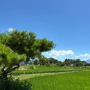 샐러드오 | *건강한 식사 * 담양브런치 * 담양비건카페 마르페 방문후기 *