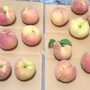 금봉농장 이미지