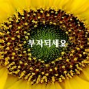 해인모텔 - 남구 삼산로20번길 3 | 해인모텔