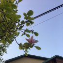 세그루 게스트하우스 이미지