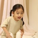 점핑 - 관악구 신림동 | 점핑