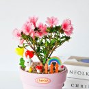 강동초병설유치원 이미지