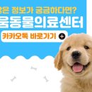 24시 라움동물의료센터 이미지