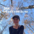세븐일레븐 인제미시령점 | 강원도 인제 당일치기 여행 코스 추천