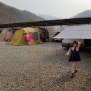 광덕목장 Daum카페