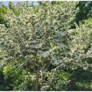 스타비치 펜션 이미지