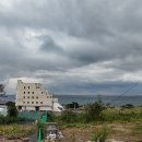 오케이농장 티스토리