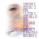 나훈아 / 평양아줌마(아코디온) 이미지