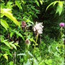 경화농장 이미지