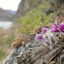 대홍건설㈜ 이미지