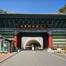 1732 | 대구 동화사(大邱 桐華寺, Daegu Donghwasa Temple)