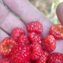 김해축산업협동조합 배합사료공장 이미지