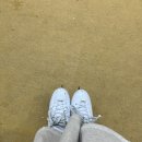 (사)세종시장애인부모회 | 세종 반다비빙상장 성인 취미 피겨 강습 후기