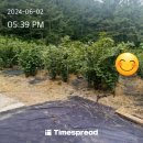 오천농장 이미지